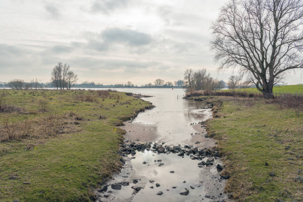 Stone dam in a tributary of the wide Dutch river Waal near the village of Vuren, province of Gelderland. The branches of the bare trees contrast with the slightly cloudy sky. It is wintertime now.