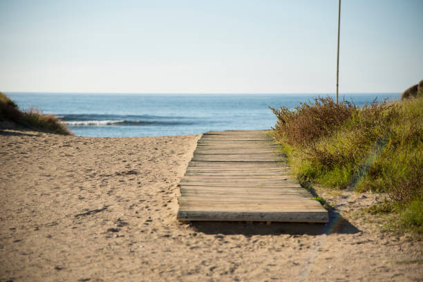istock Road to the beach, wooden walkway. 1191121634