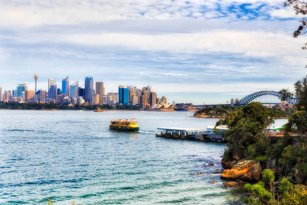 си ферри таронга кбр - taronga стоковые фото и изображения