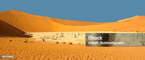 Dead Vlei Sossuvslei Namib Desert Stock Photo - Download Image Now - Arid Climate, Color Image, Dead Vlei
