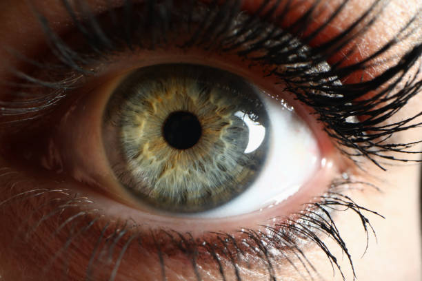 istock Human green eye supermacro closeup background 1191133223