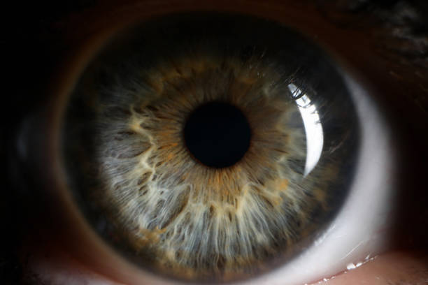 istock Human green eye supermacro closeup background 1191133227
