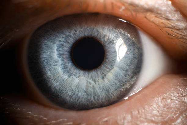 istock Blue eye male human super macro closeup 1191133228