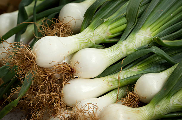Cтоковое фото Свежий зеленый лук на Фермерский рынок