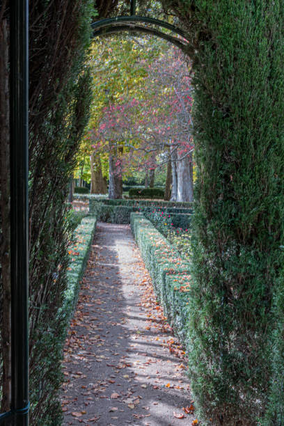 istock ornamental gardens in aranjuez real site. madrid spain. 1191135278