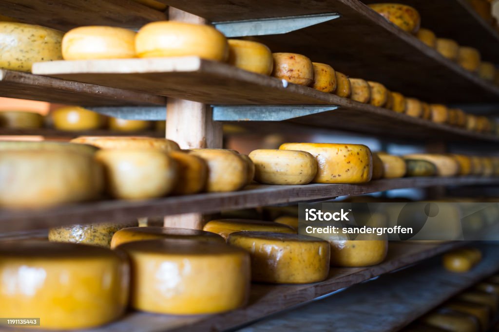 Traditional Dutch Gouda cheese maturing on wooden shelves Ordered pattern of Dutch Gouda cheeses ripening on wooden shelves in a traditional cheese farm Cheese Stock Photo