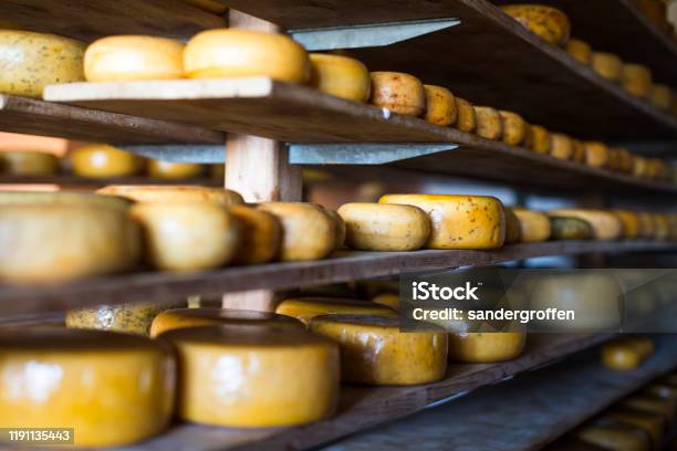 Traditional Dutch Gouda Cheese Maturing On Wooden Shelves Stock Photo - Download Image Now