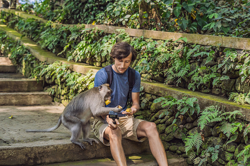 Selfie with monkeys. Young man uses a selfie stick to take a photo or video blog with cute funny monkey. Travel selfie with wildlife in Bali.