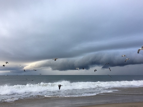 Birds fly away from the storm at the beach