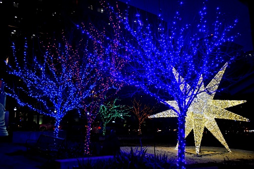 Illuminated star and trees decorated with lights during the holiday season in Atlanta