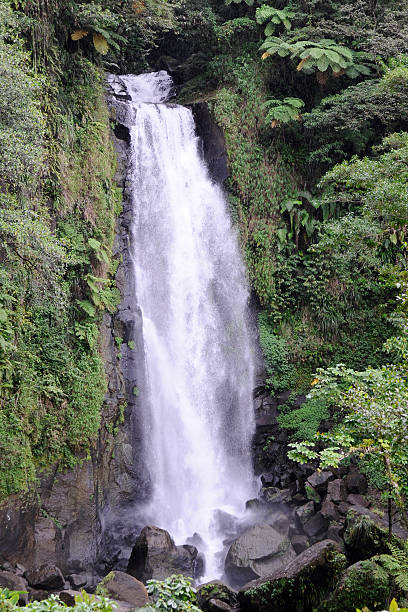 istock Trafalgar waterfall, Dominica 119116672