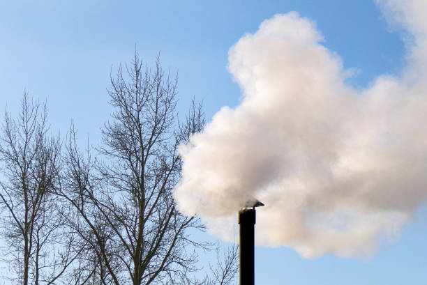 A Smoking chimney against the blue sky and trees. Pollution of the environment and nature.