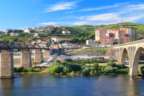 istock Bridges over the Douro River 1191170107