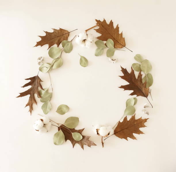istock Autumn fall background. Wreath composition  pattern made of autumn tree leaves, cotton flowers and dry eucalyptus leaves  on white background. Top view.  Flat lay. Copy space 1191170127