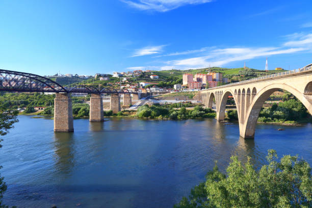 istock Bridges over the Douro River 1191170131