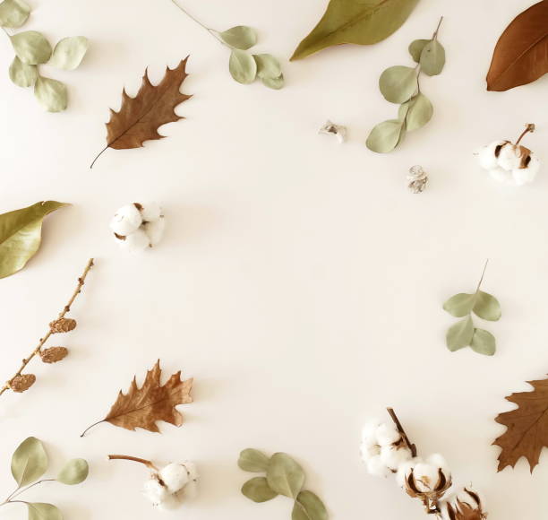 istock Autumn fall background. Composition frame pattern made of autumn tree leaves, cotton flowers and eucalyptus leaves  on white background. Top view.  Flat lay. Copy space 1191170839