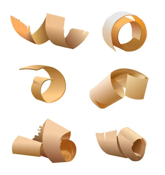Vector illustration of Wood shavings. Vector. Shavings from a planer, chisel, ax. Sawdust. Wood waste. Garbage in the workshop. Joiner, carpenter. Shavings from planing boards. Vector illustration. Isolated.