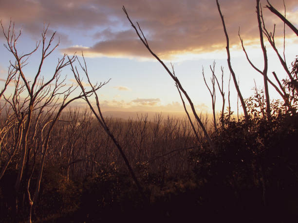 istock Sunset at Lake Mountain summit. 1191172566