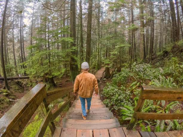 istock Young man contemplating rainforest in fog 1191175191