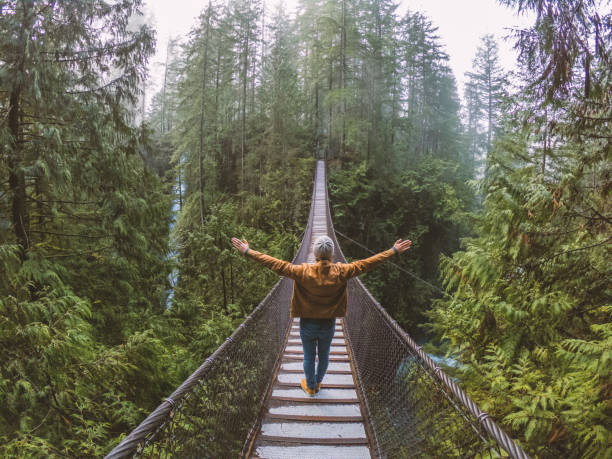 istock Man on suspension bridge crossing canyon in rainforest, Canada 1191175421