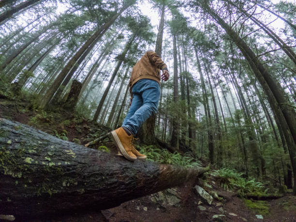 istock Young man contemplating rainforest in fog 1191176157