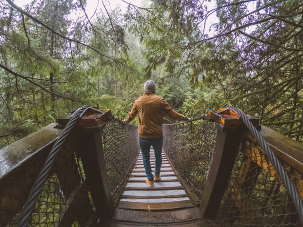 istock Man on suspension bridge crossing canyon in rainforest, Canada 1191176282