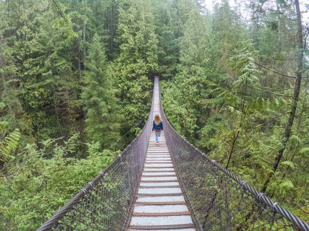 mulher na ponte de suspensão que aprecia o frescor na natureza - vancouver suspension bridge bridge people - fotografias e filmes do acervo