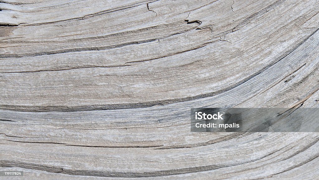 Abstract  texture from wood  background  Abstract Stock Photo