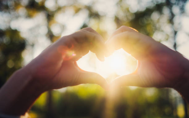 sunlight shining through heart hands sign with nature background