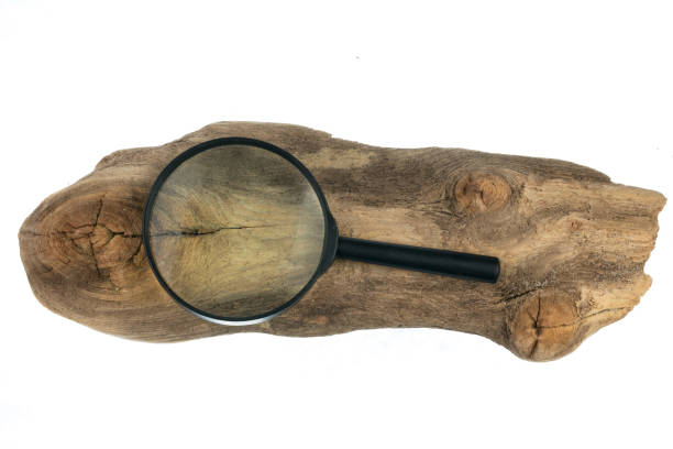 istock Magnifying glass lying on an old wooden board. Isolated on white background. 1191184879