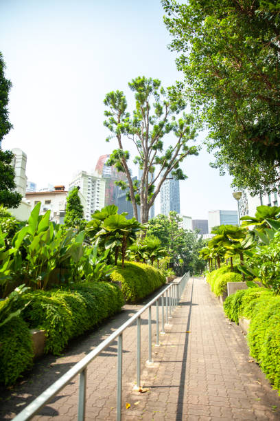 istock Tall buildings in Singapore surrounded by greenery 1191185535