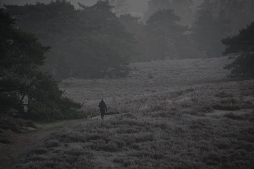 Early walk on a musty morning in the heath area cold Brunssummerheide