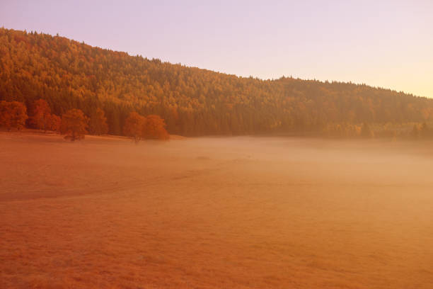 Mysterious landscape, red and orange predominating, fog, hills and the forest