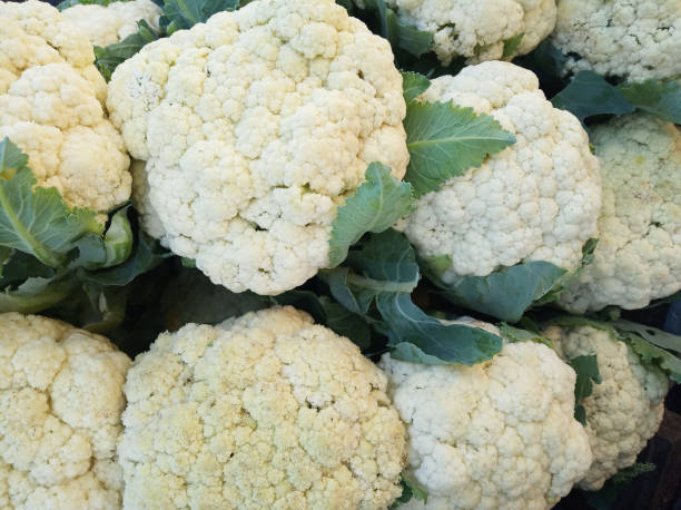 istock White cauliflower background. Fresh raw vegetable backgrounds. 1191193963