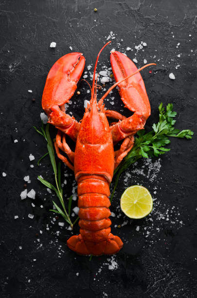 istock Lobster with spices on a dark background. Top view. Free copy space. 1191194115