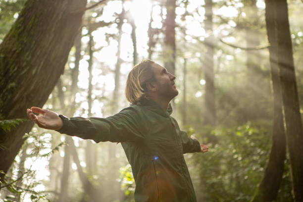 istock Young man embracing rainforest standing in sunbeams illuminating the trees 1191199949
