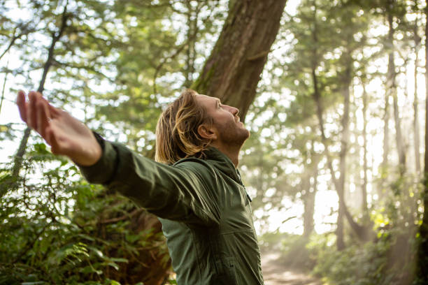 istock Young man embracing rainforest standing in sunbeams illuminating the trees 1191200014