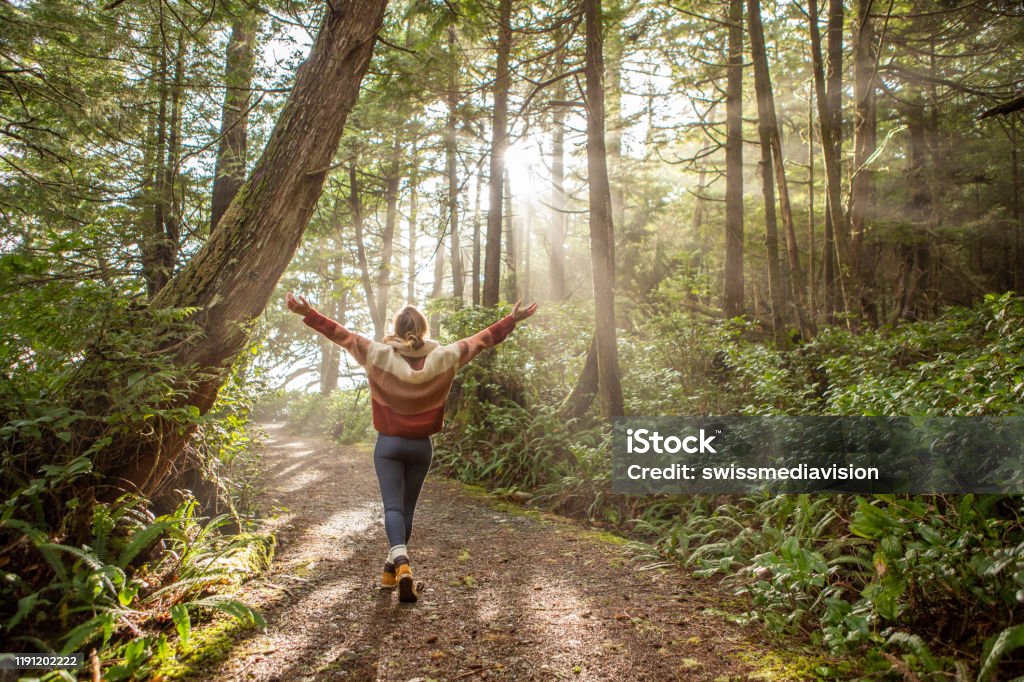 Young woman embracing rainforest standing in sunbeams illuminating the trees Young woman contemplating rainforest and sunbeams illuminating the trees Wellbeing Stock Photo