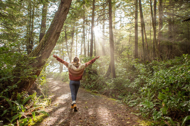 Young woman embracing rainforest standing in sunbeams illuminating the trees stock photo