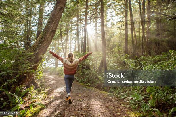 Young Woman Embracing Rainforest Standing In Sunbeams Illuminating The Trees Stock Photo - Download Image Now