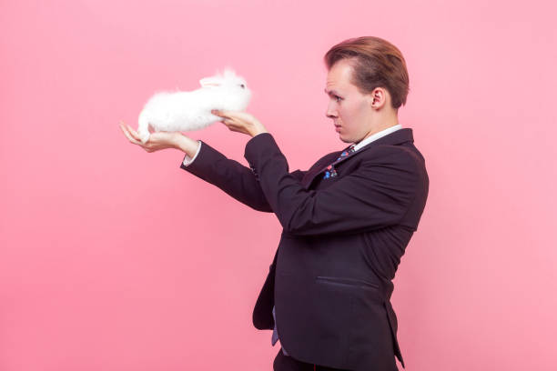 istock Side view of serious young man holding white fluffy rabbit on raised hands and looking at bunny with curiosity. isolated on pink background 1191203557