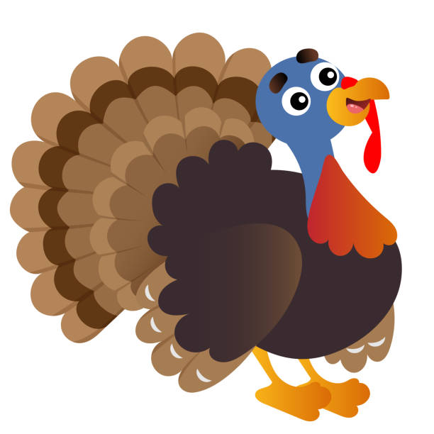 Ilustración de Imagen A Color De Pavo De Dibujos Animados Sobre Fondo Blanco Animales De Granja Ilustración Vectorial Para Niños y más Vectores Libres de Derechos de Agricultor - iStock Ilustración de Imagen A Color De Pavo De Dibujos Animados Sobre Fondo Blanco Animales De Granja Ilustración Vectorial Para Niños y más Vectores Libres de Derechos de Agricultor - iStock