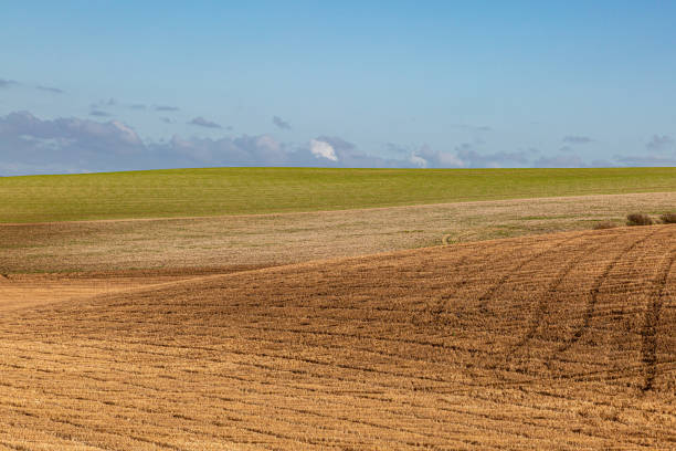 istock A Sussex Patchwork Landscape 1191204131