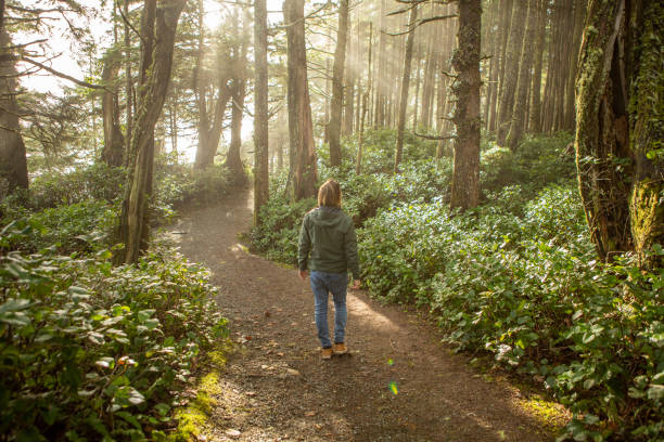 Young man contemplating rainforest and sunbeams illuminating the trees