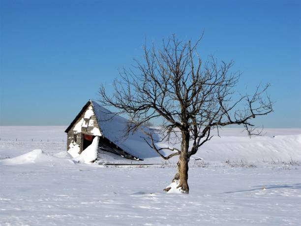 大草原の風景の寒い冬の風景 - snow horizon winter shed ストックフォトと画像