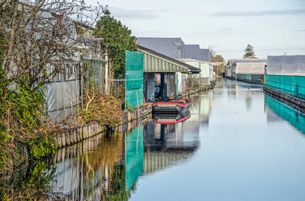 Boskoop, the Netherlands, November 30, 2019: view along the smooth water of a canal, used for drainage and transport, between greenhouses and nurseries