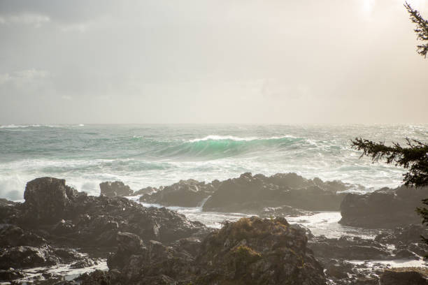 istock Waves crashing on rocks from ocean storm, Tofino, Canada 1191210753