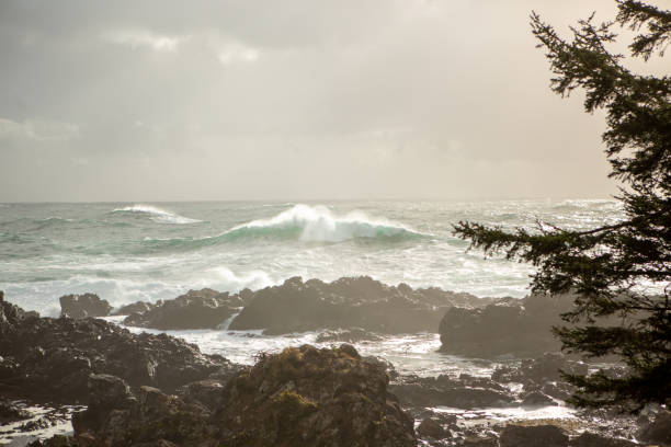 istock Waves crashing on rocks from ocean storm, Tofino, Canada 1191210960
