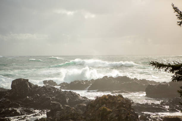 istock Waves crashing on rocks from ocean storm, Tofino, Canada 1191211767