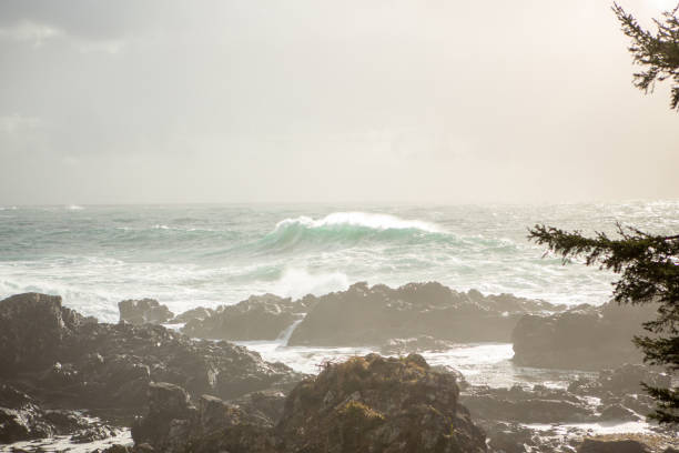 istock Waves crashing on rocks from ocean storm, Tofino, Canada 1191212015